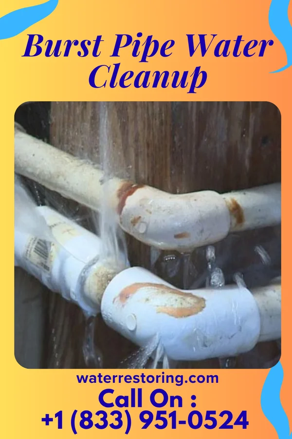 Burst Pipe Water Cleanup in One Loudoun, VA