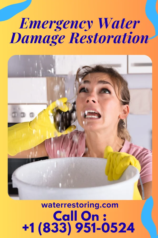 Emergency Water Damage Restoration in One Loudoun, VA